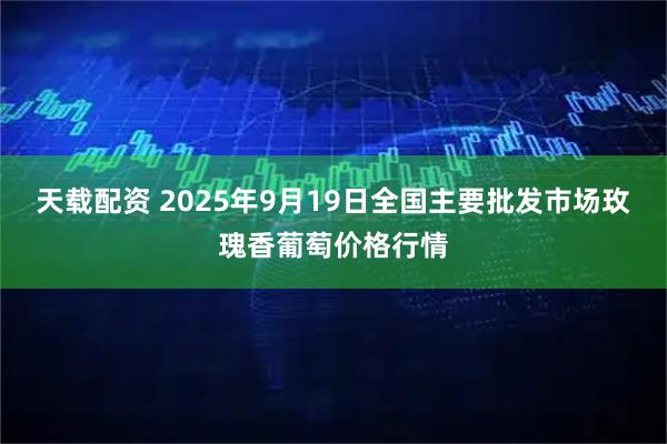 天载配资 2025年9月19日全国主要批发市场玫瑰香葡萄价格行情