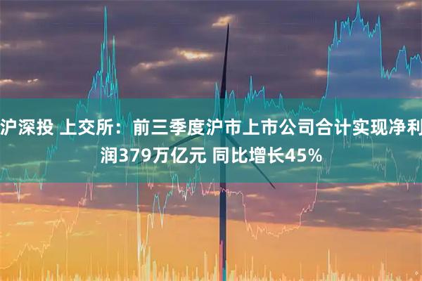沪深投 上交所：前三季度沪市上市公司合计实现净利润379万亿元 同比增长45%